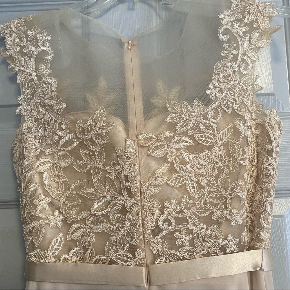 Dancing Queen Cream Blush Floral Lace Illusion Gown - Picture 3 of 6